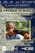 Watch A Panther in Africa Vodly