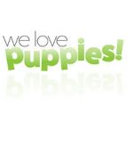 Watch We Love Puppies Vodly