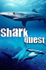 Watch Shark Quest Vodly