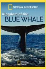 Watch National Geographic Kingdom of Blue Whale Vodly