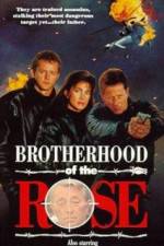 Watch Brotherhood of the Rose Vodly