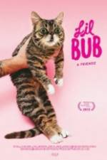 Watch Lil Bub & Friendz Vodly