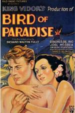 Watch Bird of Paradise Vodly