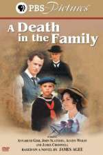 Watch A Death in the Family Vodly