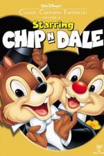 Watch Chip an' Dale Vodly