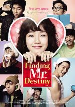 Watch Finding Mr. Destiny Vodly