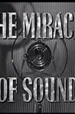 Watch The Miracle of Sound Vodly