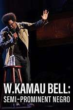 Watch W. Kamau Bell: Semi-Promenint Negro Vodly