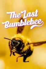 Watch The Last Bumblebee Vodly