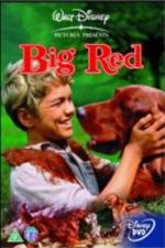 Watch Big Red Vodly