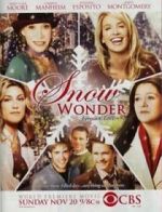 Watch Snow Wonder Vodly