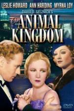Watch The Animal Kingdom Vodly