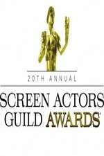 Watch The 20th Annual Screen Actors Guild Awards Vodly