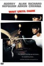 Watch Wait Until Dark Vodly