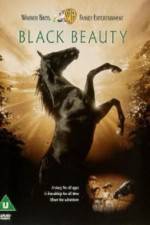 Watch Black Beauty Vodly