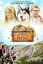 Watch Timber the Treasure Dog Vodly