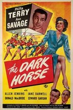 Watch The Dark Horse Vodly