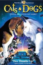 Watch Cats & Dogs Vodly