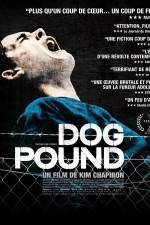 Watch Dog Pound Vodly