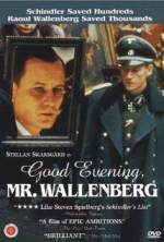 Watch Good Evening, Mr. Wallenberg Vodly