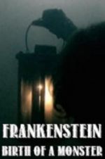 Watch Frankenstein: Birth of a Monster Vodly