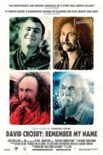 Watch David Crosby: Remember My Name Vodly