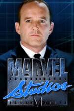 Watch Marvel One-Shot The Consultant Vodly