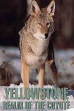 Watch Yellowstone: Realm of the Coyote Vodly