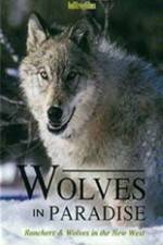 Watch Wolves in Paradise Vodly