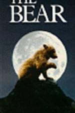 Watch The Bear - (L'ours) Vodly