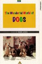 Watch The Wonderful World of Dogs Vodly