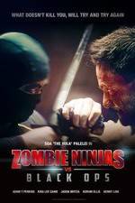 Watch Zombie Ninjas vs Black Ops Vodly