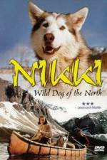 Watch Nikki Wild Dog of the North Vodly