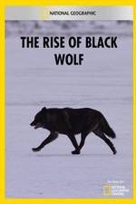 Watch The Rise of Black Wolf Vodly