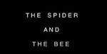 Watch The Spider and the Bee Vodly