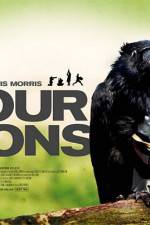 Watch Four Lions Vodly