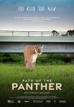 Watch Path of the Panther Vodly