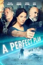 Watch A Perfect Plan Vodly