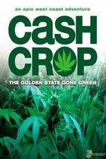 Watch Cash Crop Vodly