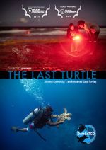 Watch The Last Turtle (Short 2019) Vodly