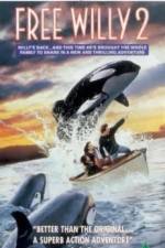 Watch Free Willy 2 The Adventure Home Vodly