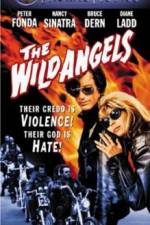 Watch The Wild Angels Vodly