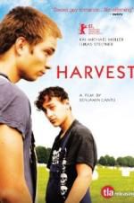 Watch Harvest Vodly