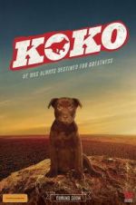 Watch Koko: A Red Dog Story Vodly