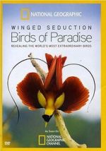 Watch Winged Seduction: Birds of Paradise Vodly