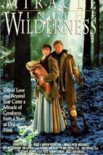 Watch Miracle in the Wilderness Vodly