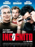 Watch Incognito Vodly