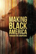 Watch Making Black America: Through the Grapevine Vodly