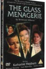 Watch The Glass Menagerie Vodly