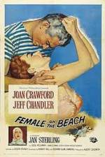 Watch Female on the Beach Vodly